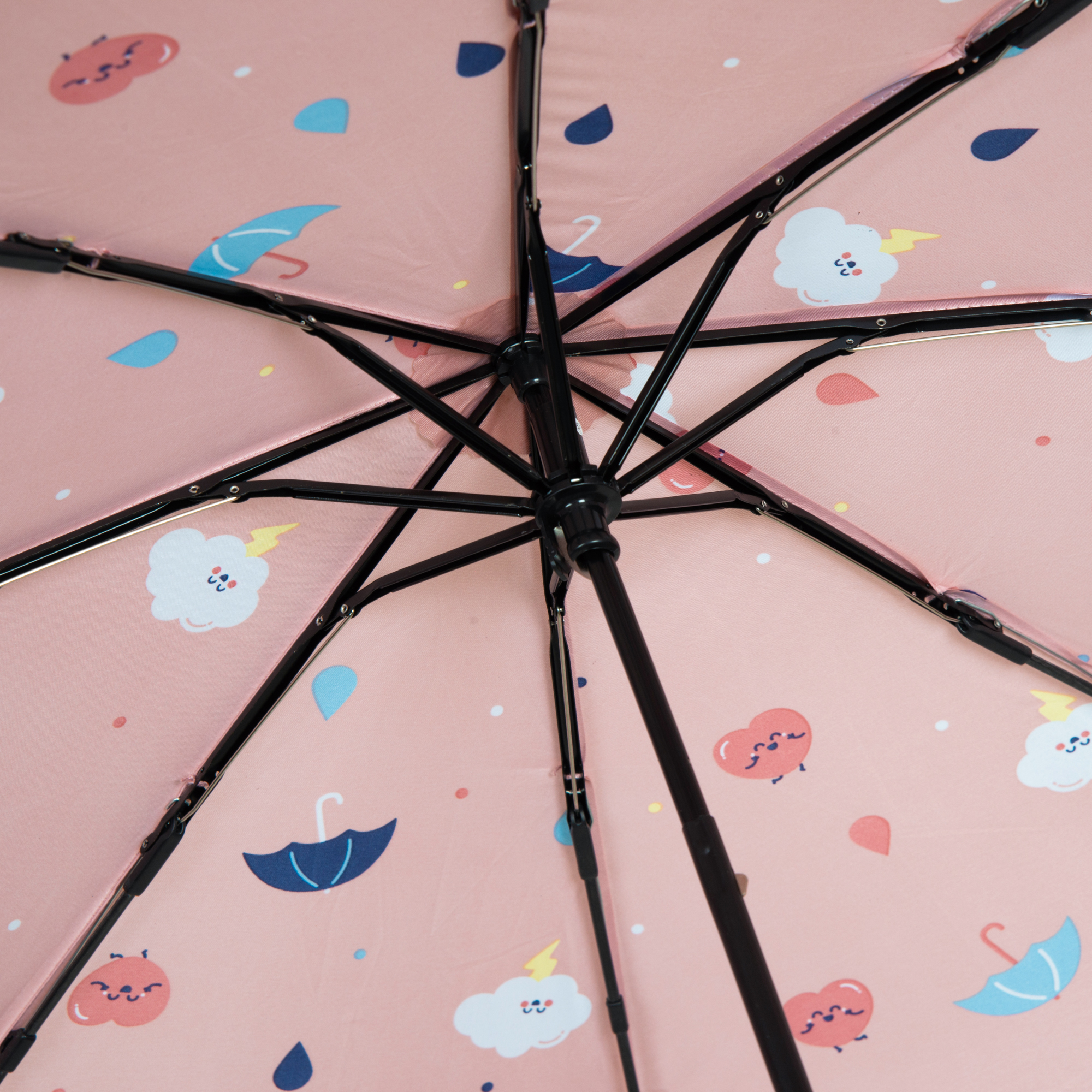 Mr. Wonderful Rainy Day