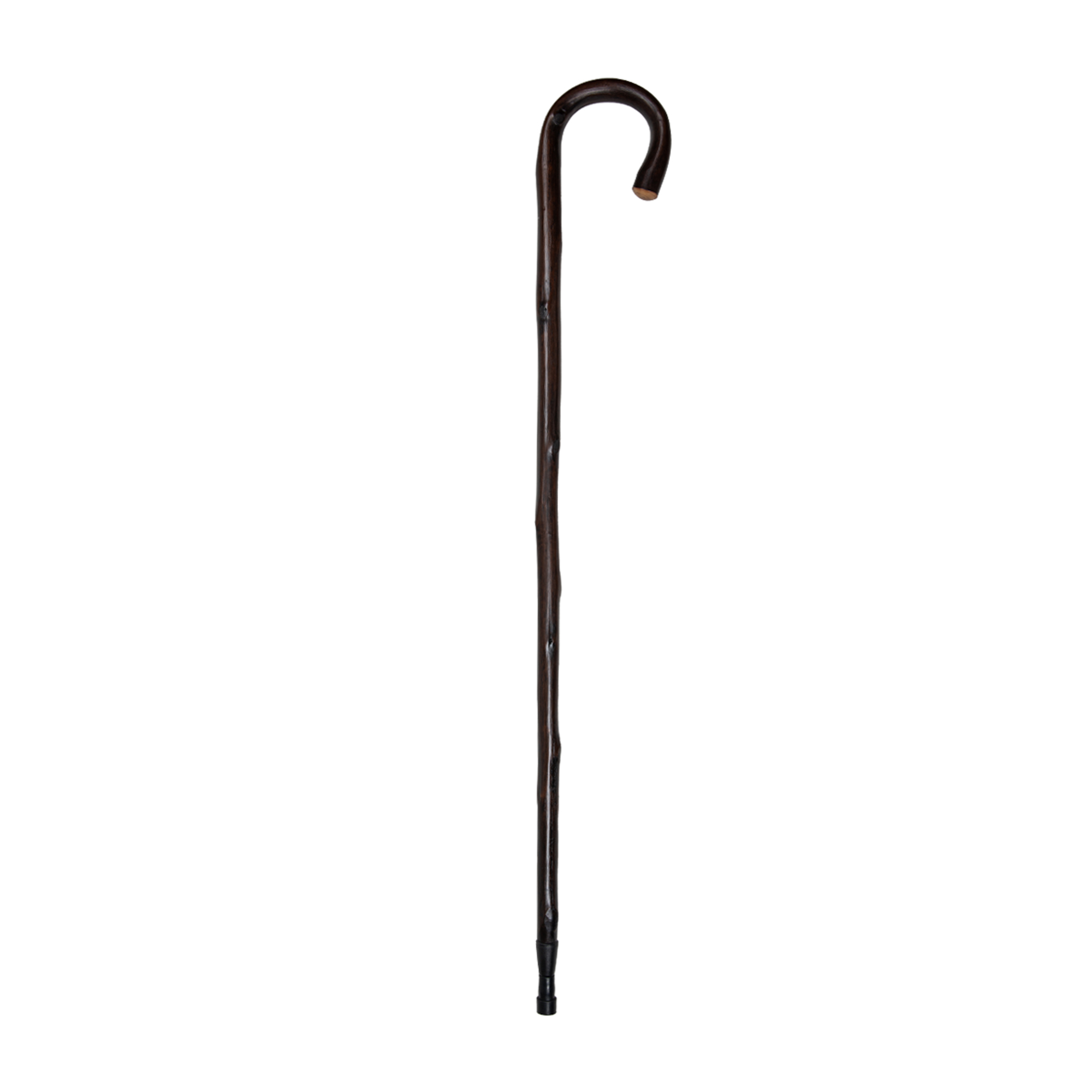 Chestnut walking stick