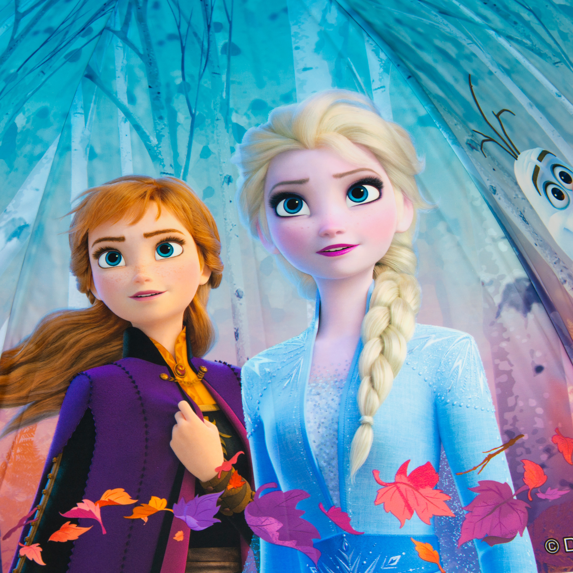 Frozen Zauberwald
