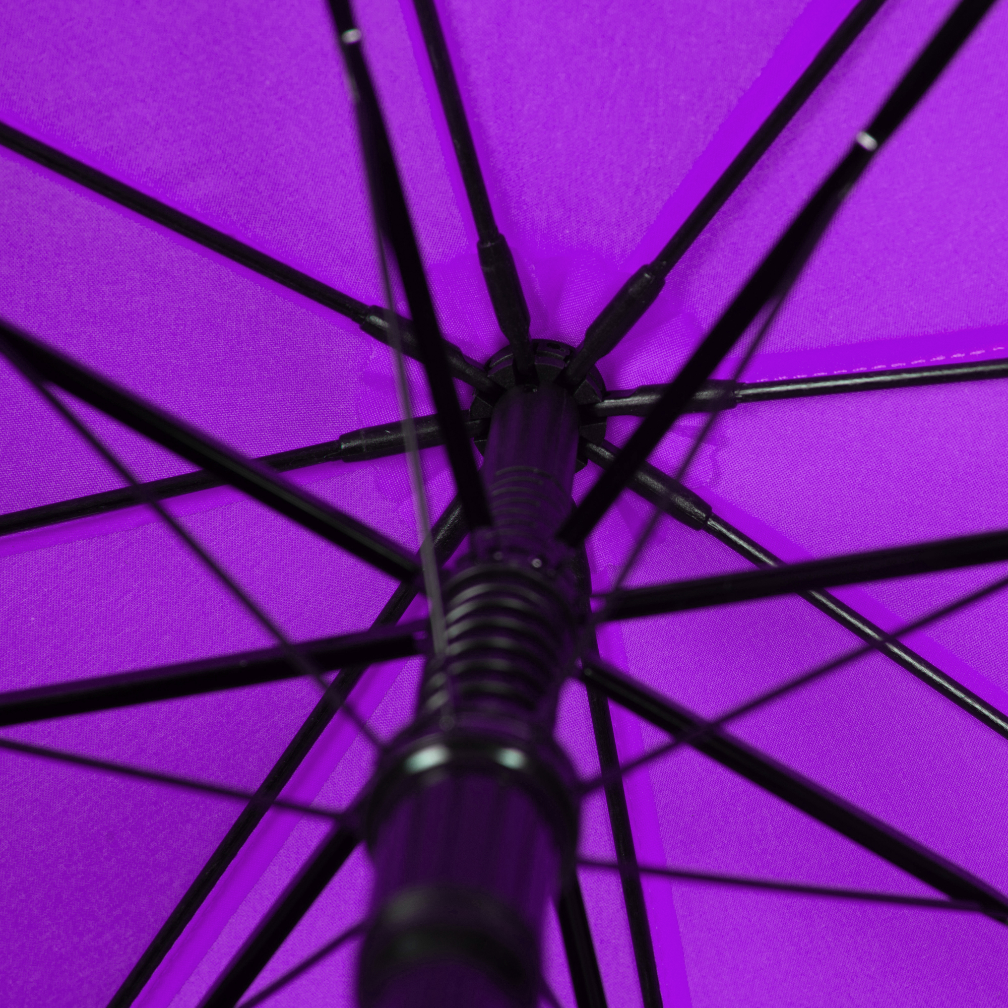 Detail des Gestänges am violetten Regenschirm Long Matic Rain