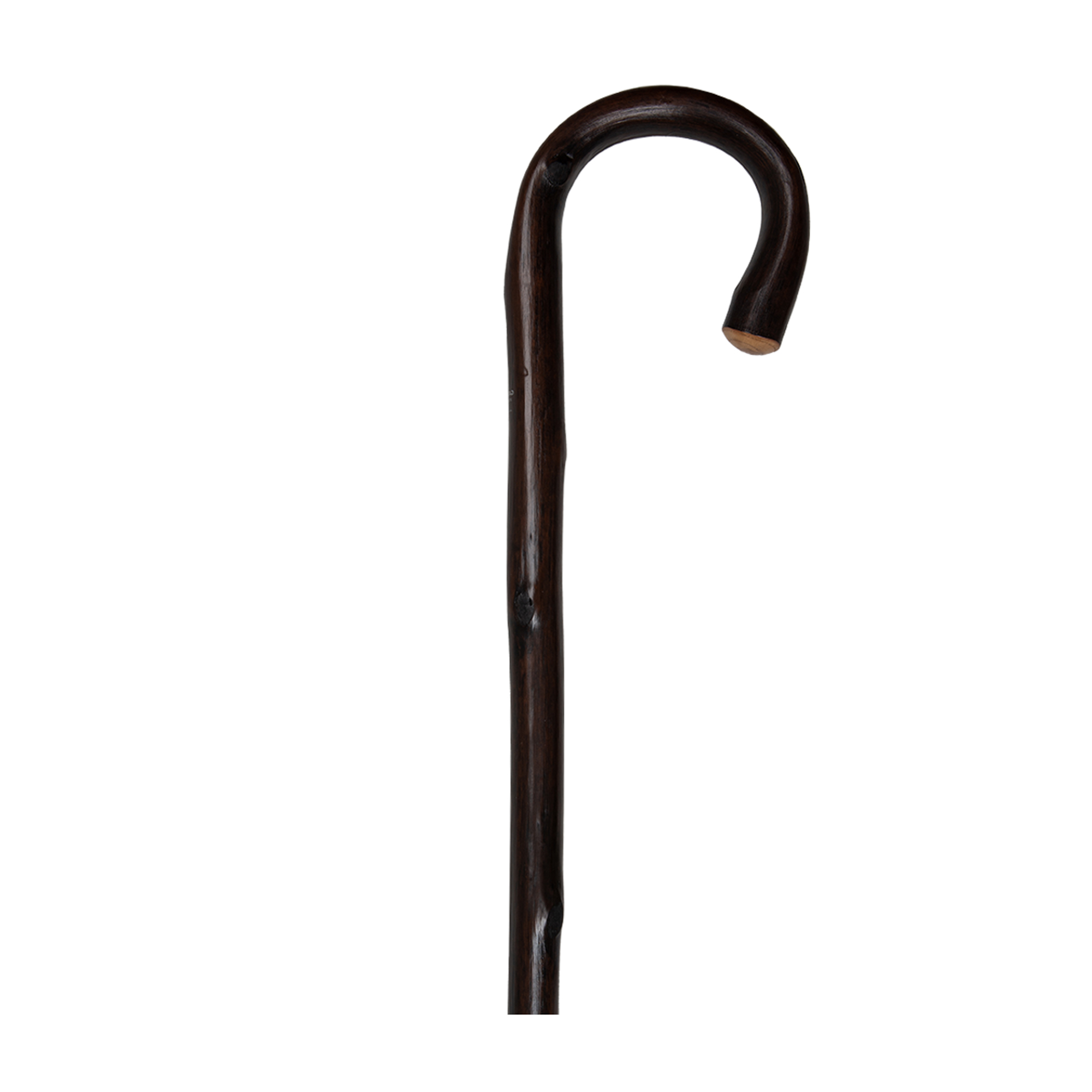 Chestnut walking stick